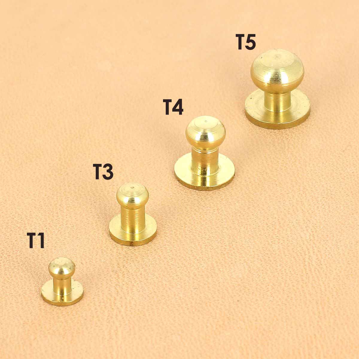 Lot de boutons de col à vis T5 avec vis 3x5mm - Image 3