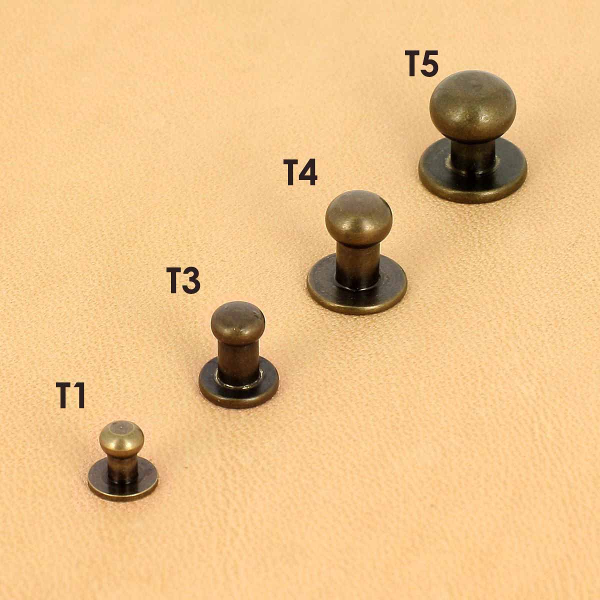 Lot de boutons de col à vis T5 avec vis 3x5mm - Image 6