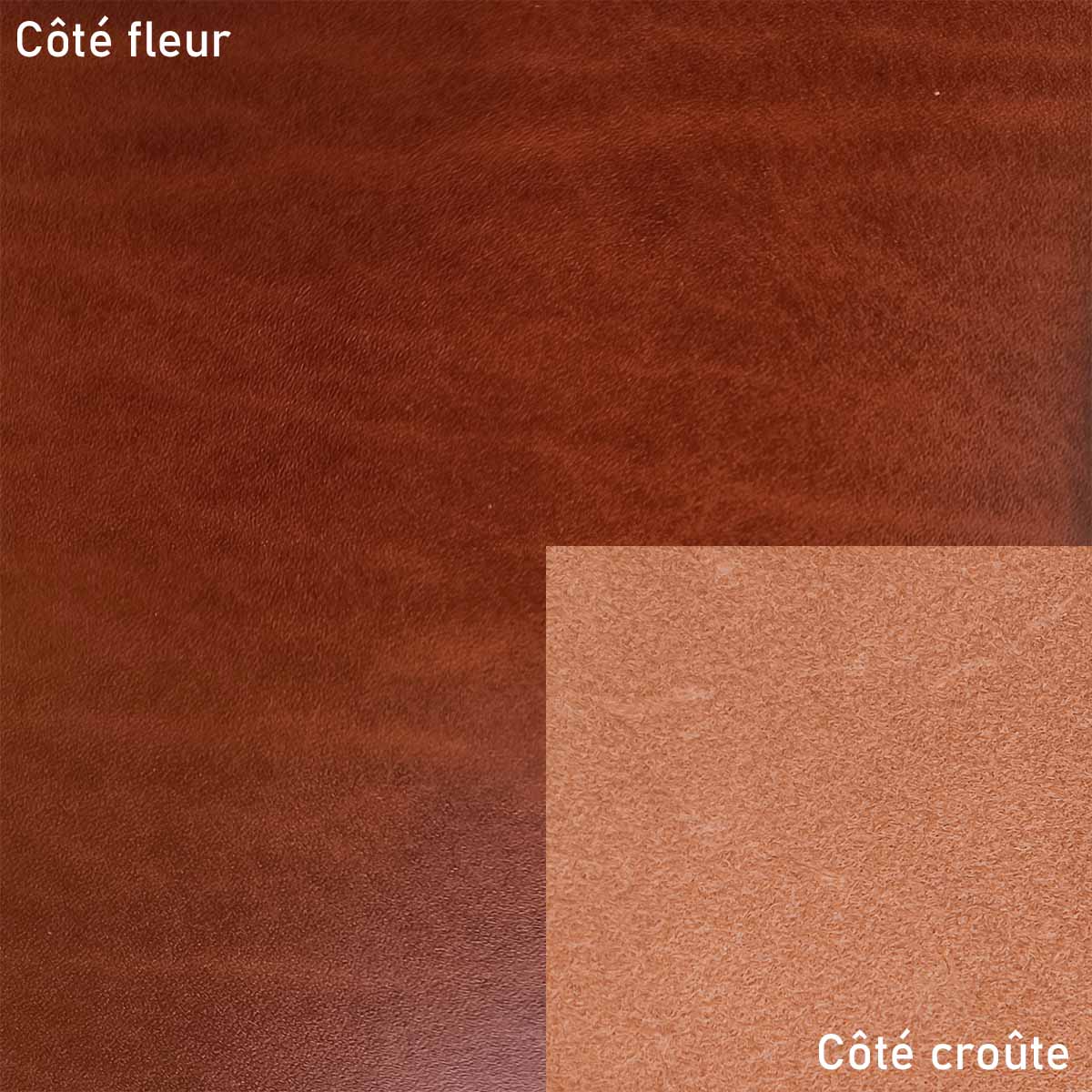 Collet tannage végétal SAUVAGE - COGNAC - Image 2