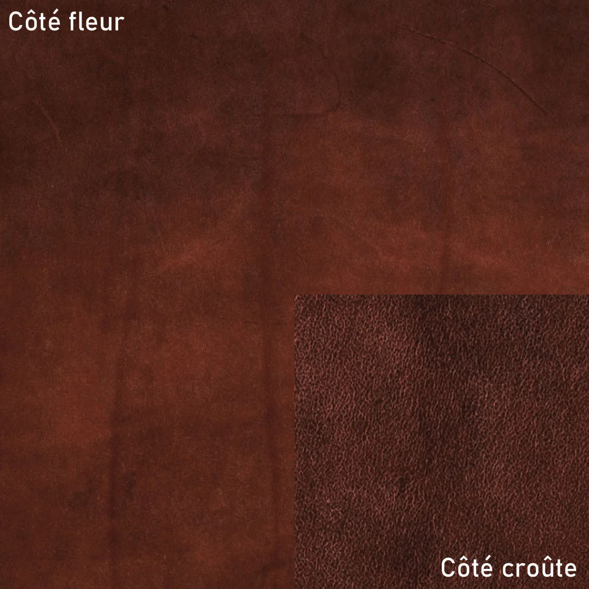 Échantillon de cuir NIAGARA - Radermecker - Image 7