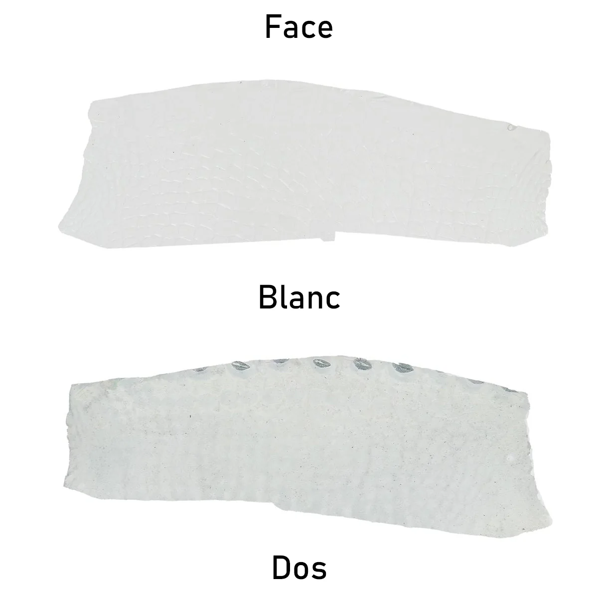 Découpe de flanc d'Alligator brillant - BLANC - Image 3