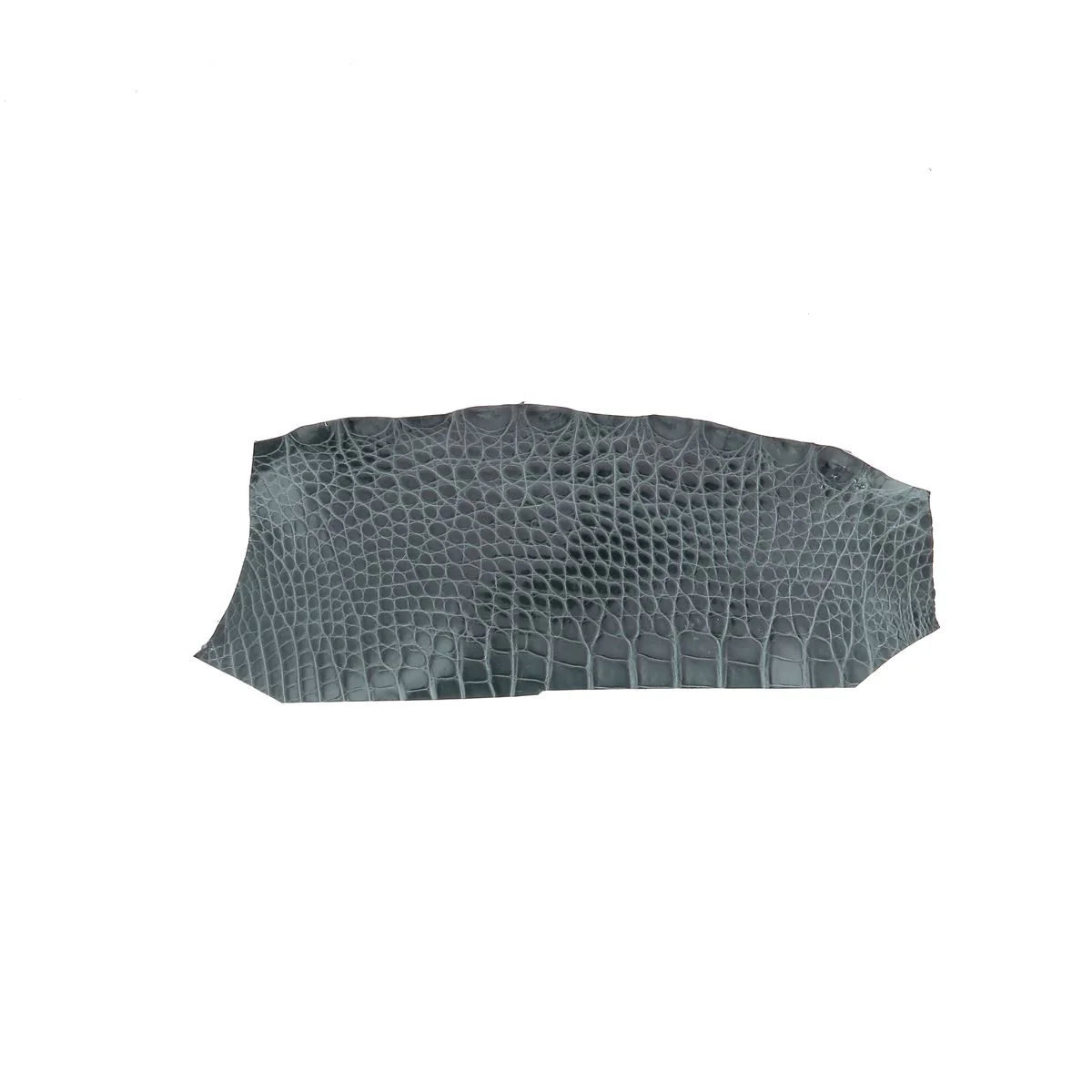 Découpe de flanc d'Alligator brillant - GRIS ORAGE