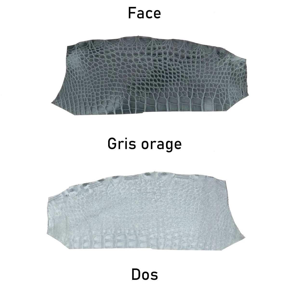 Découpe de flanc d'Alligator brillant - GRIS ORAGE - Image 3