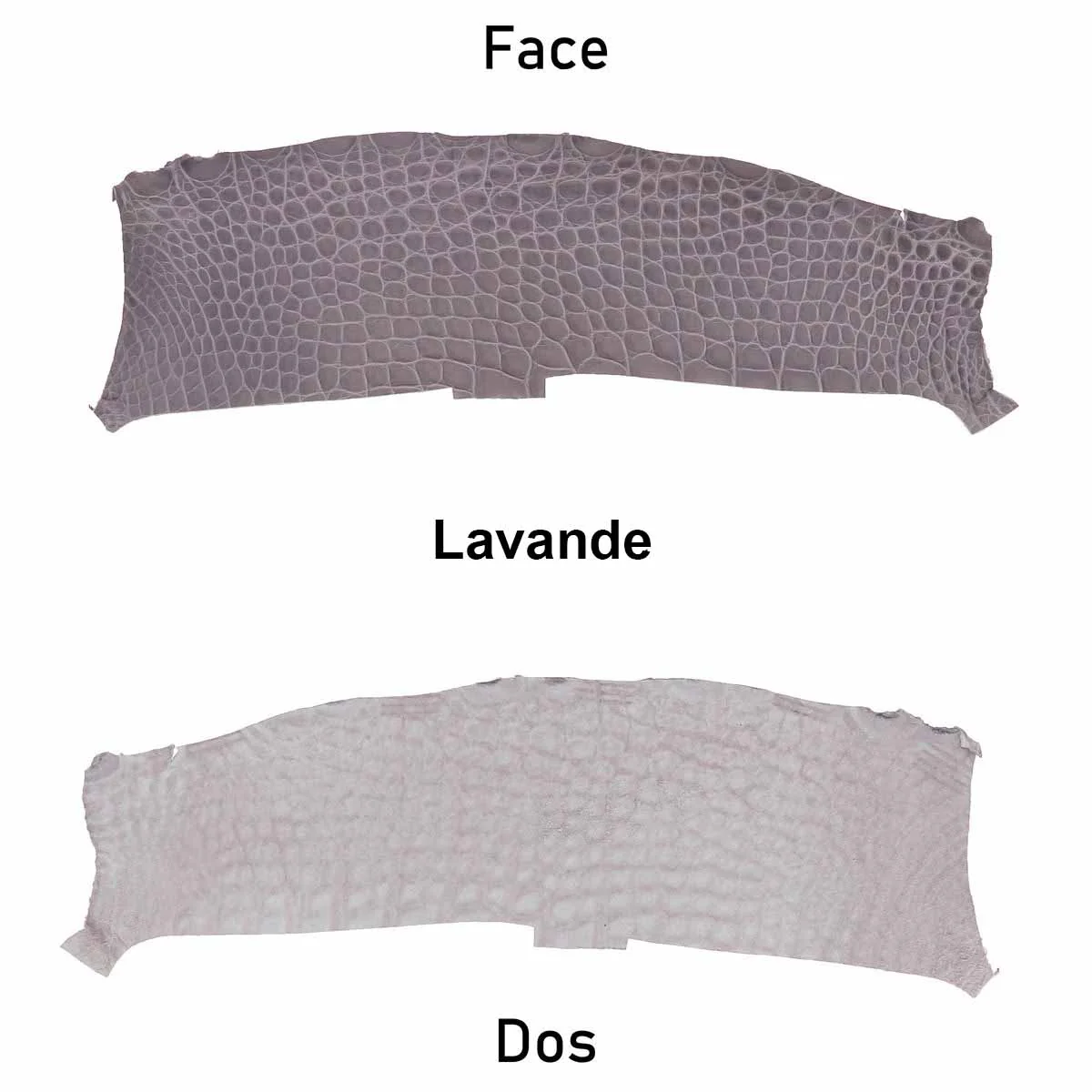 Découpe de flanc d'Alligator brillant - LAVANDE - Image 3
