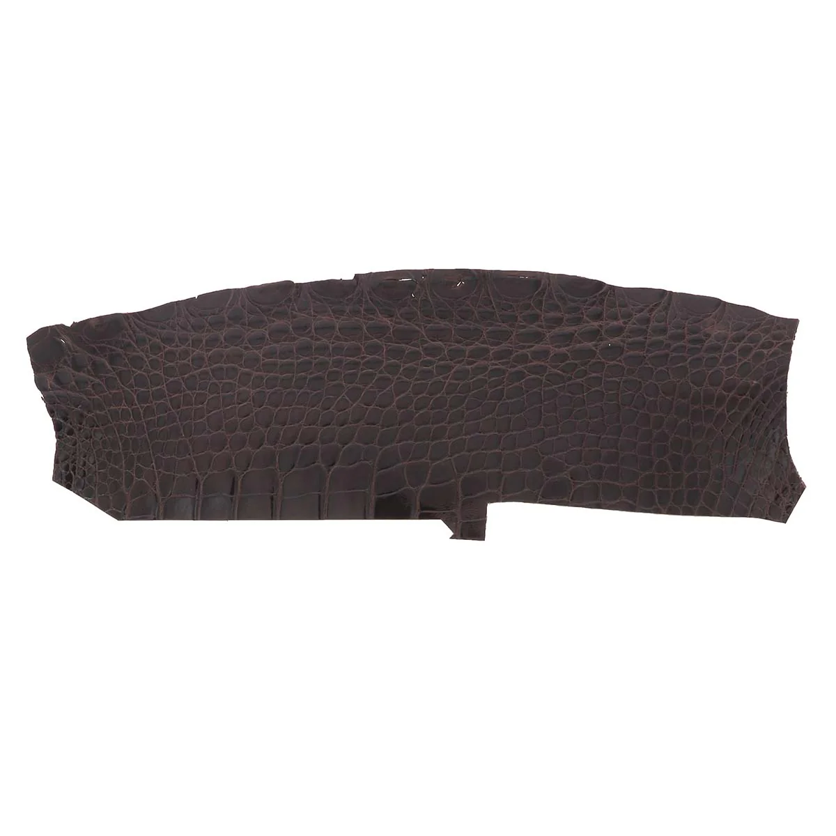 Découpe de flanc d'Alligator brillant - MARRON FONCÉ