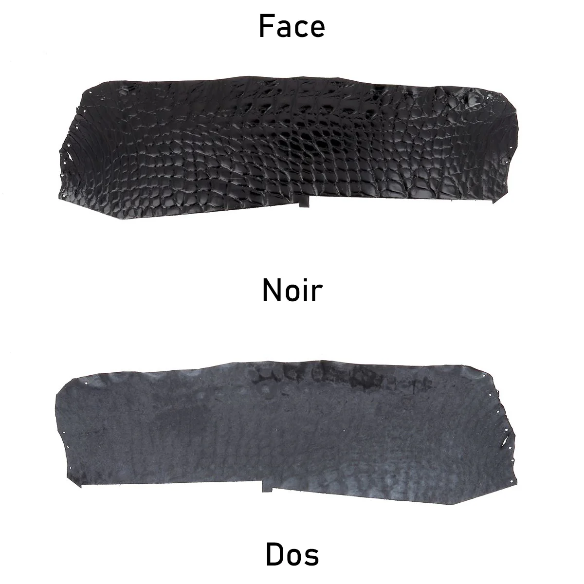 Découpe de flanc d'Alligator brillant - NOIR - Image 3
