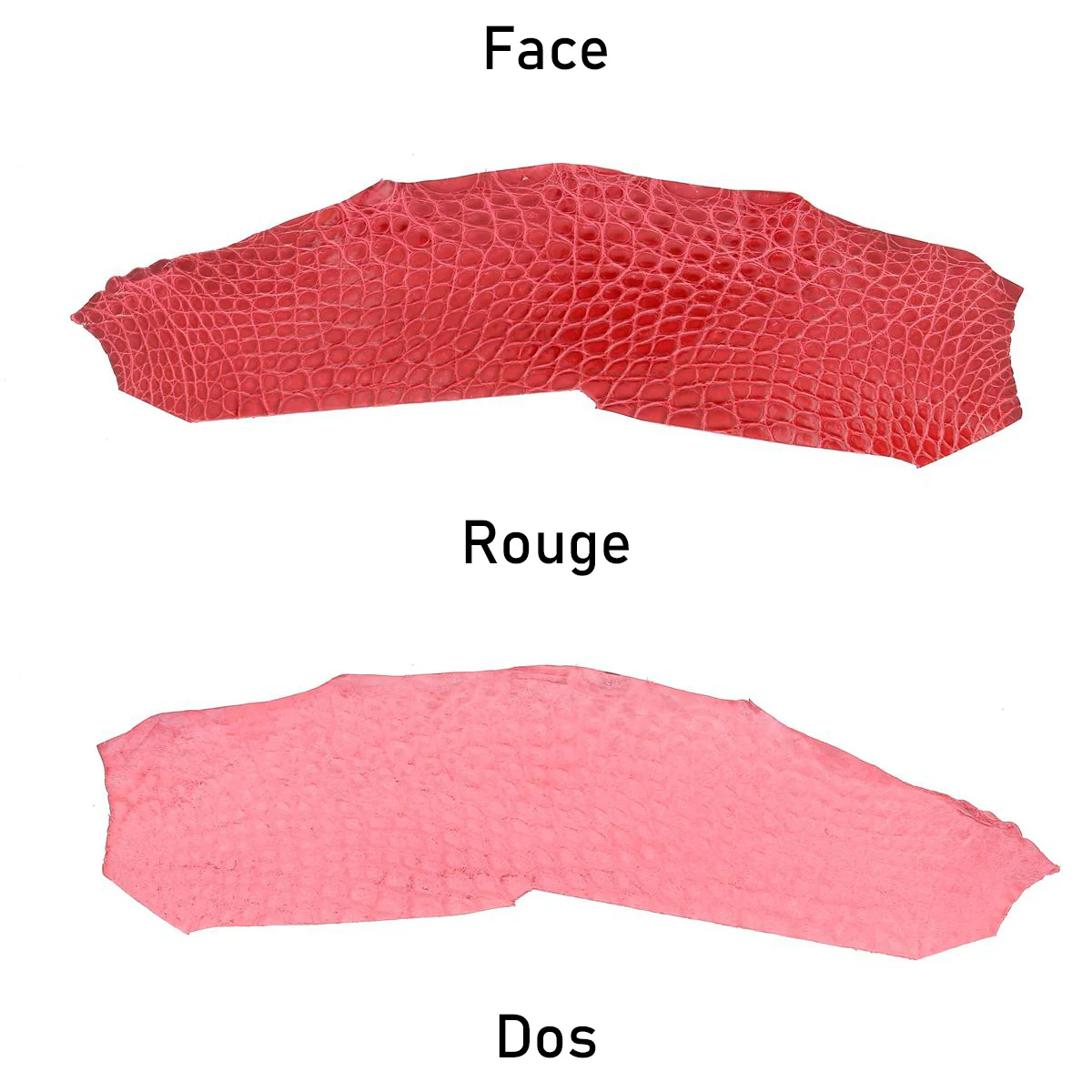 Découpe de flanc d'Alligator brillant - ROUGE - Image 3