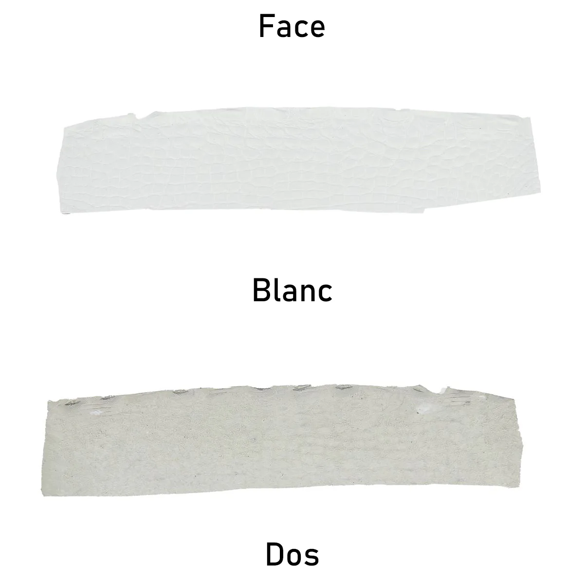 Découpe de flanc d'Alligator mat - BLANC - Image 3