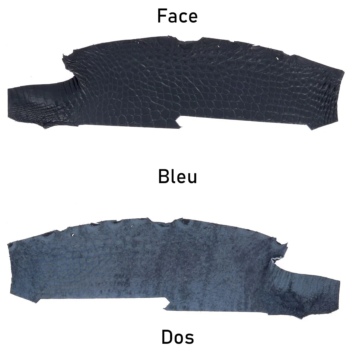 Découpe de flanc d'Alligator mat - BLEU - Image 3