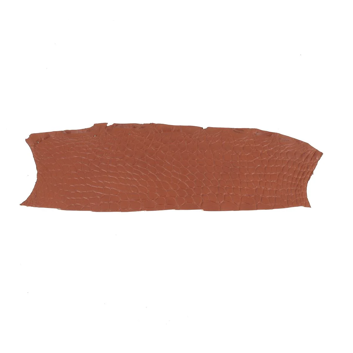 Découpe de flanc d'Alligator mat - GOLD
