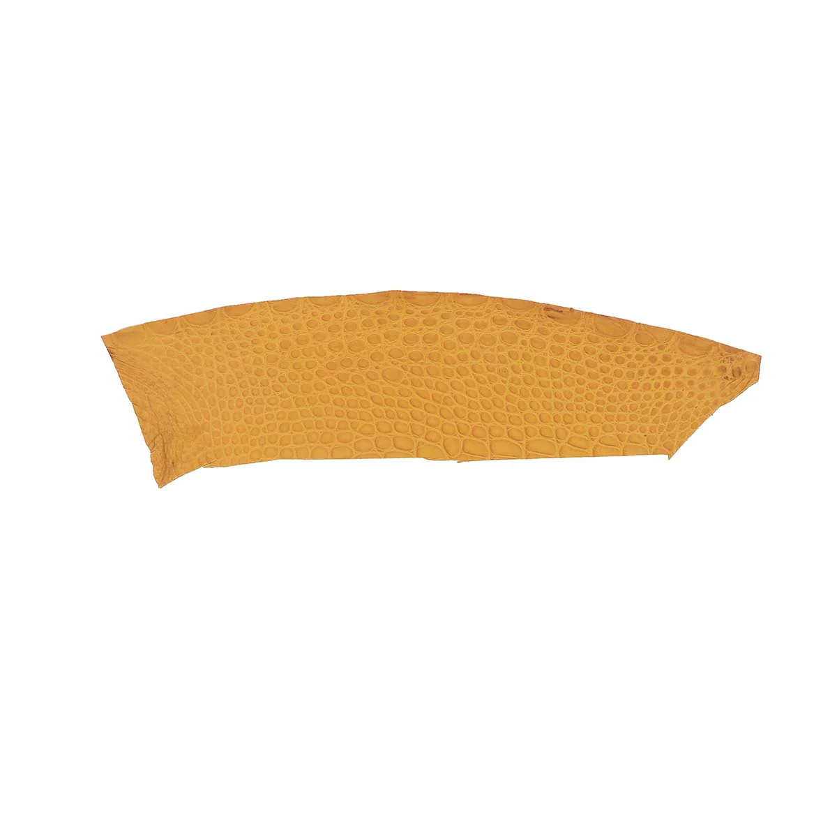 Découpe de flanc d'Alligator mat - OCRE