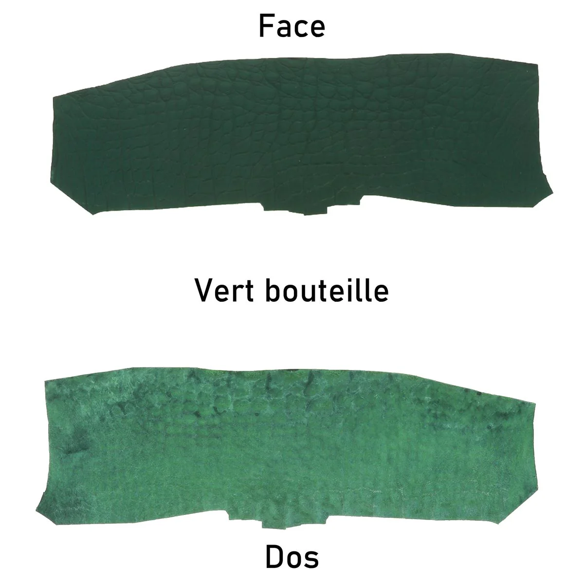 Découpe de flanc d'Alligator mat - VERT BOUTEILLE - Image 3