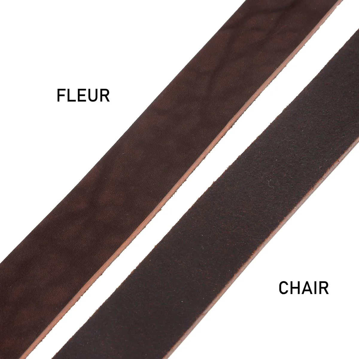 Lanière en cuir de collet NIAGARA - Radermecker - 40mm - CHOCOLAT - Ép 3,3mm - Image 3