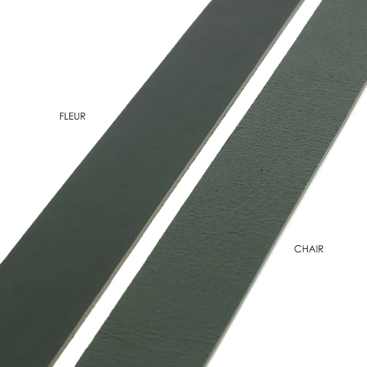 Lanière en cuir de collet NOURRI LISSE tannage végétal - VERT - Ép 3mm - Image 3