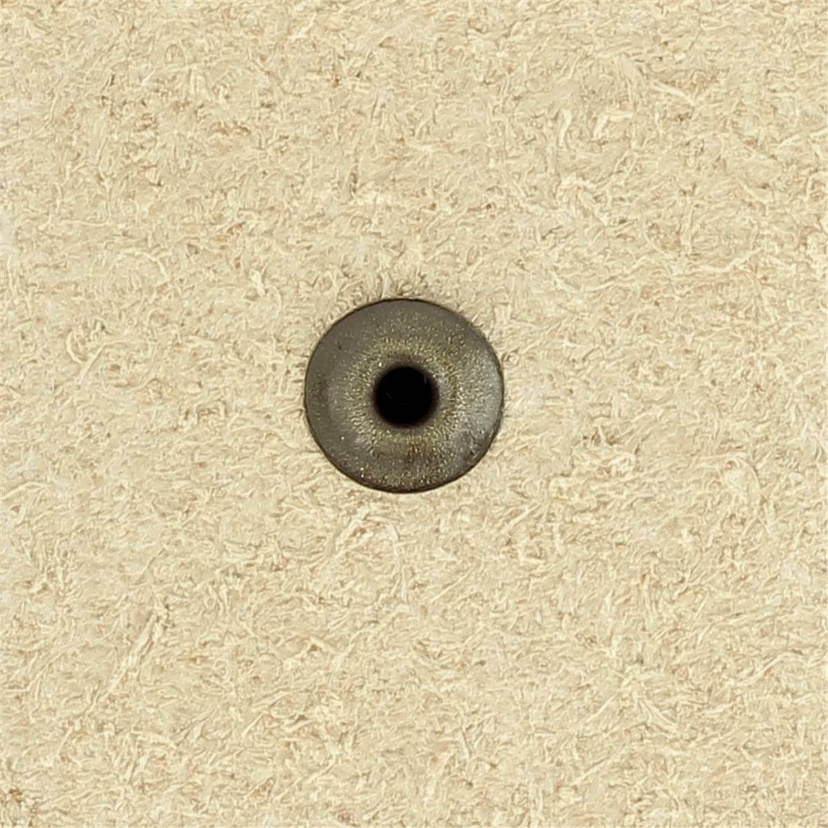 Lot de 100 rivets simple calotte ANTIQUES - 9mm (T4) - Image 3