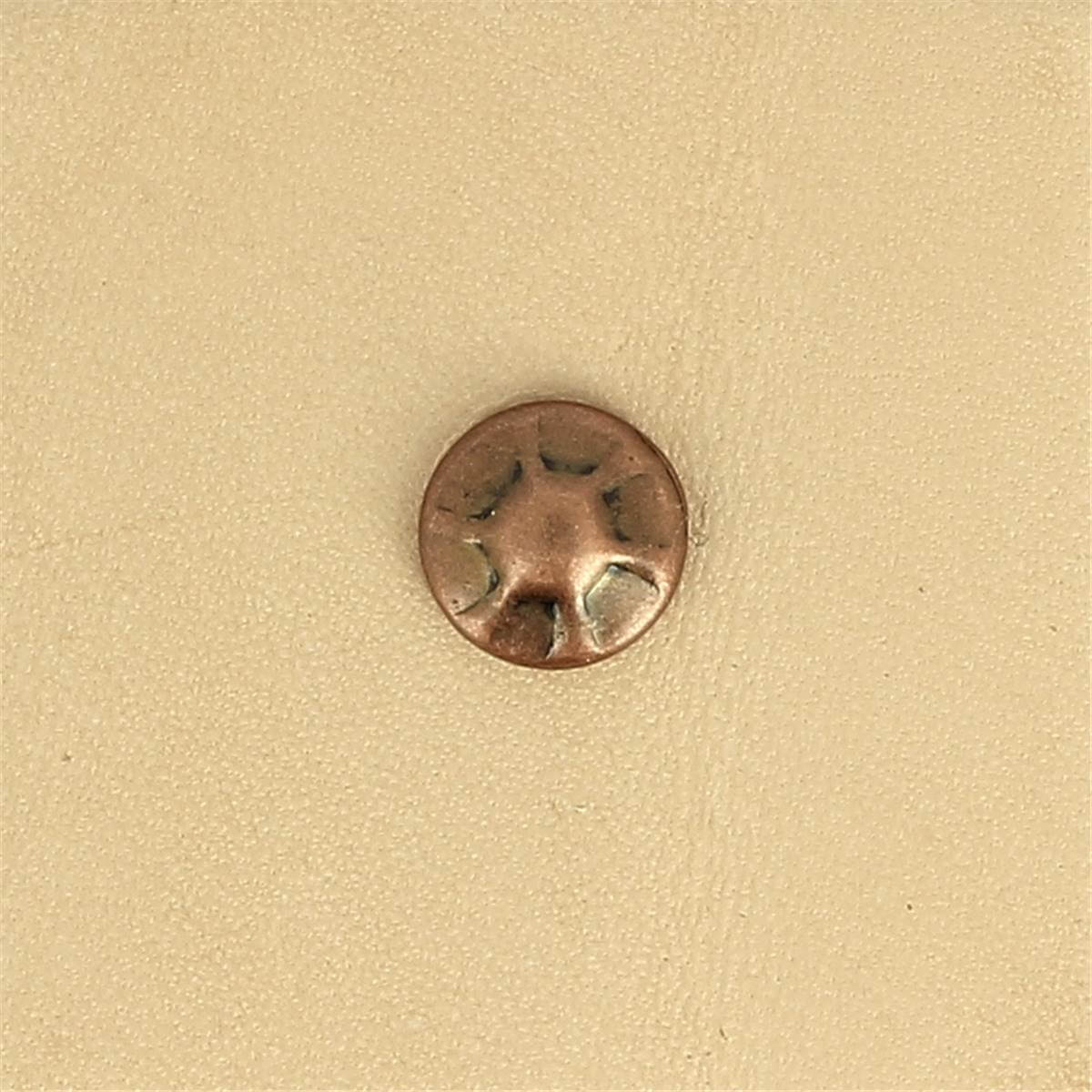 Lot de 100 rivets simple calotte ANTIQUES - 9mm (T4) - Image 5