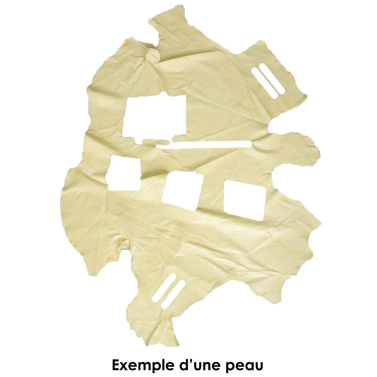 Lot de 1kg de peau de cuir d'autruche avec découpes - Image 2