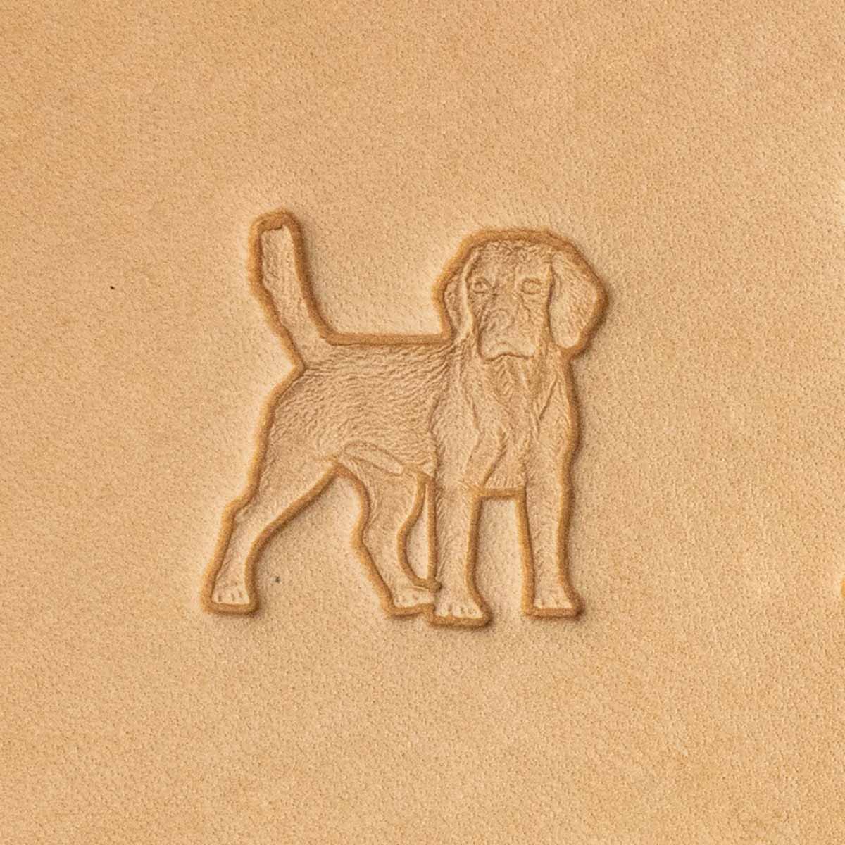 Matoir 3D - Chien Beagle  - 8733-00