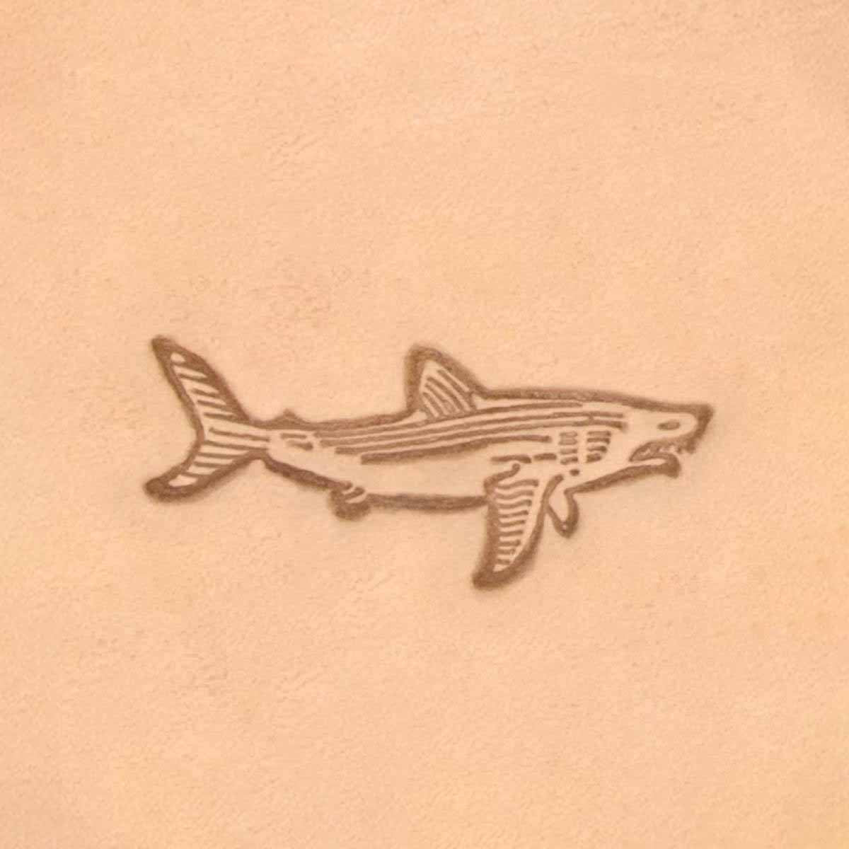 Matoir 3D - Requin - 8371