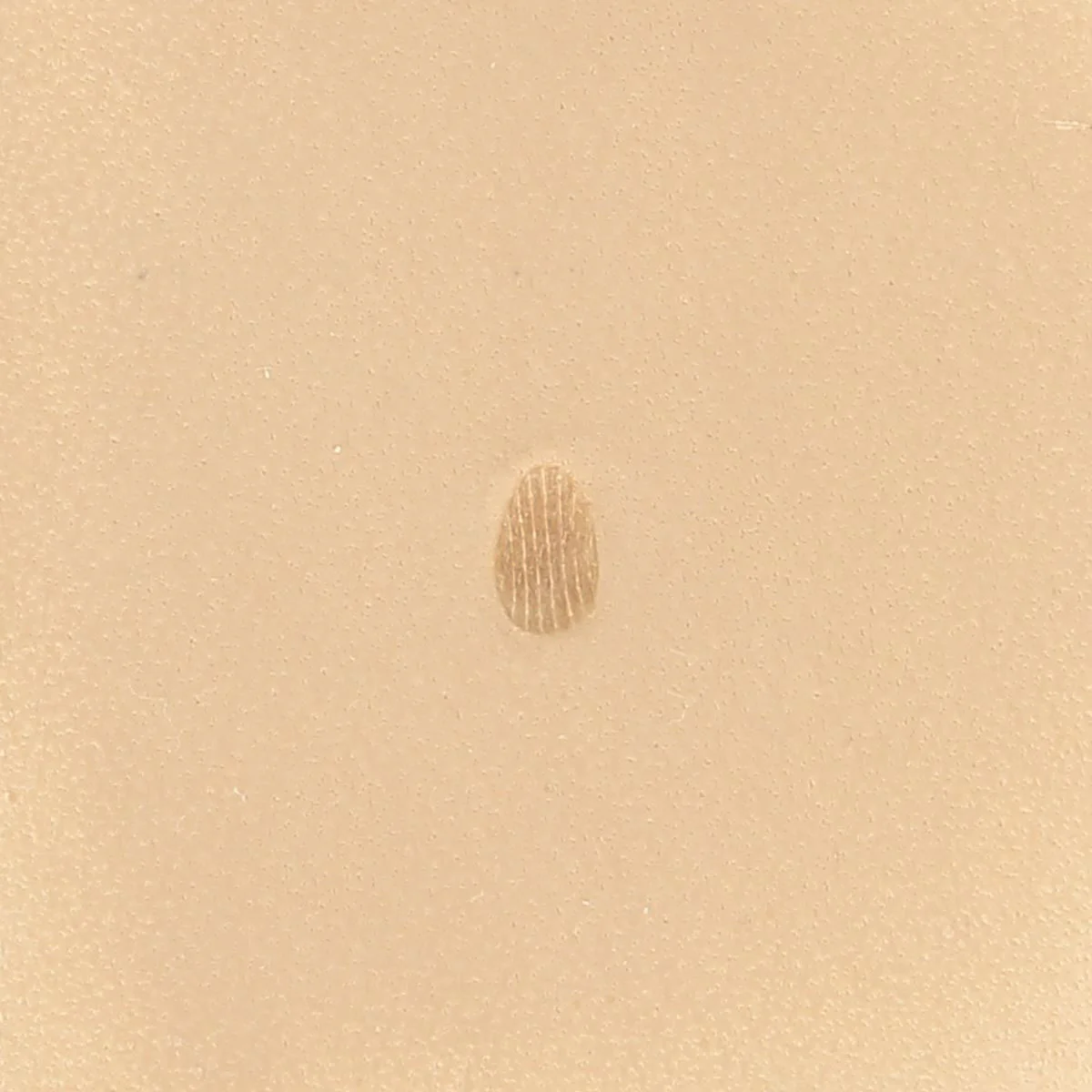 Matoir sur manche IVAN - Pear Shader strié vertical 4 mm - 6973 - P973