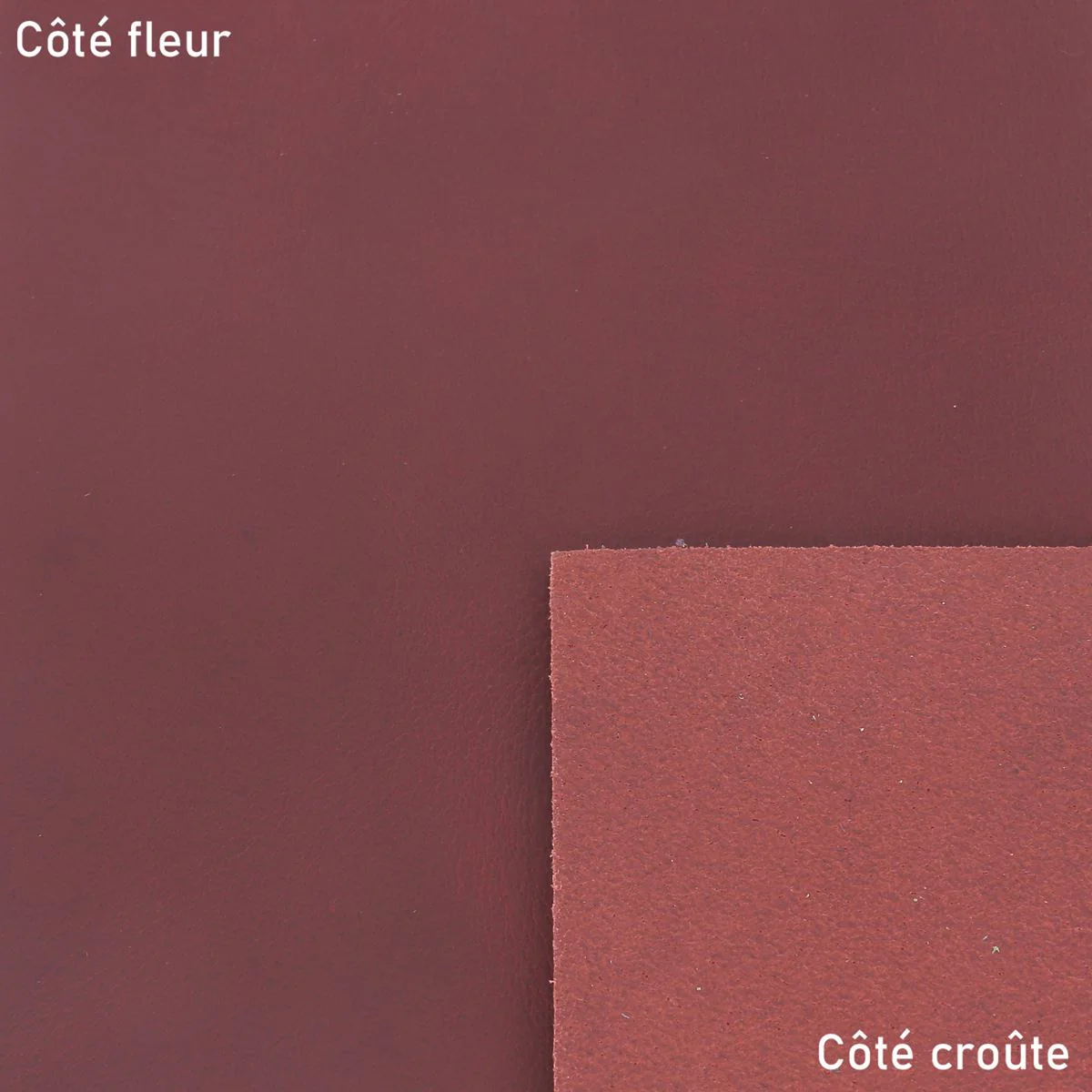 Morceau de cuir de croupon tannage végétal - CARMIN - Image 4