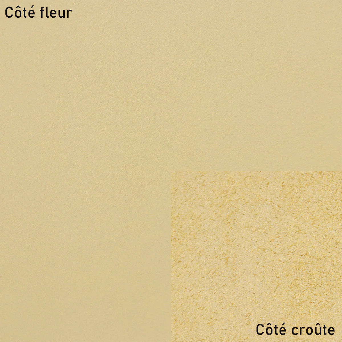 Morceau de cuir de vachette SUAVE - VANILLE R14 - Image 2