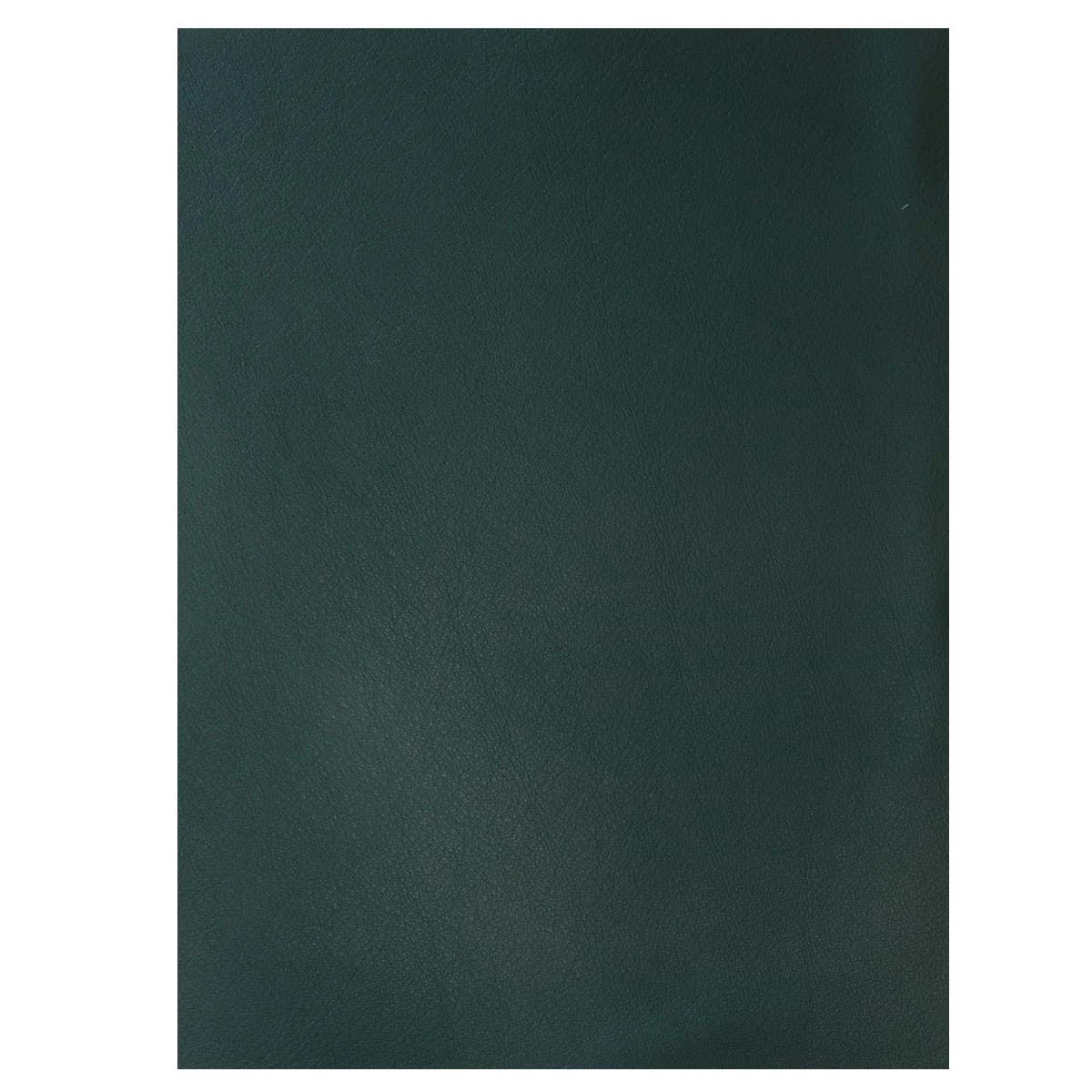 Morceau de cuir SWEET 2 - VERT ANGLAIS - Image 4