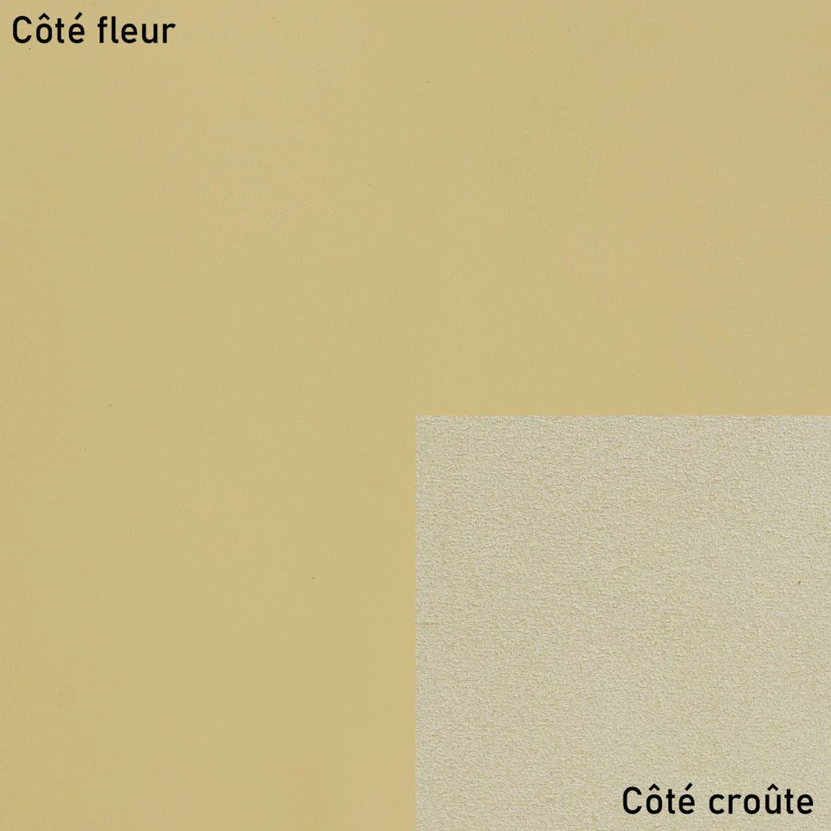 Morceau de cuir de vachette VENUS - SABLE M41 - Image 2