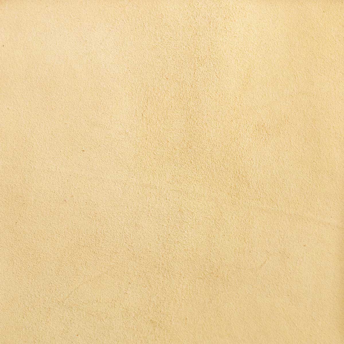 Peau de croûte de cuir de chèvre velours - BEIGE R66 - Image 4