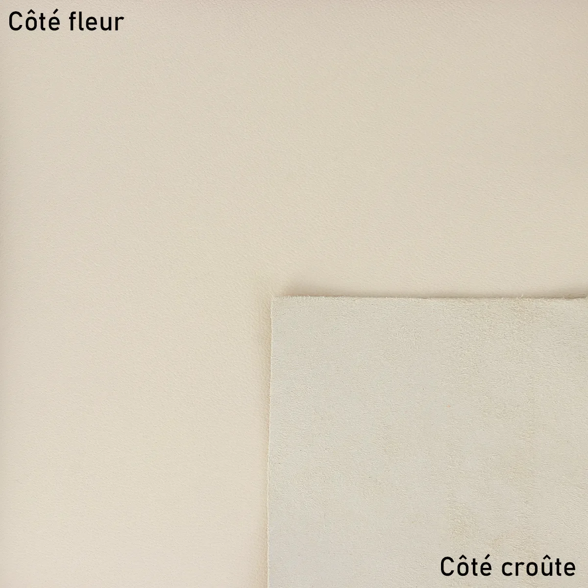 Peau de cuir d'agneau nappa - BEIGE T36 - Image 2