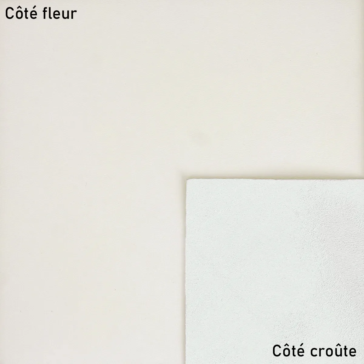 Peau de cuir d'agneau - VANILLE S93 - Image 2