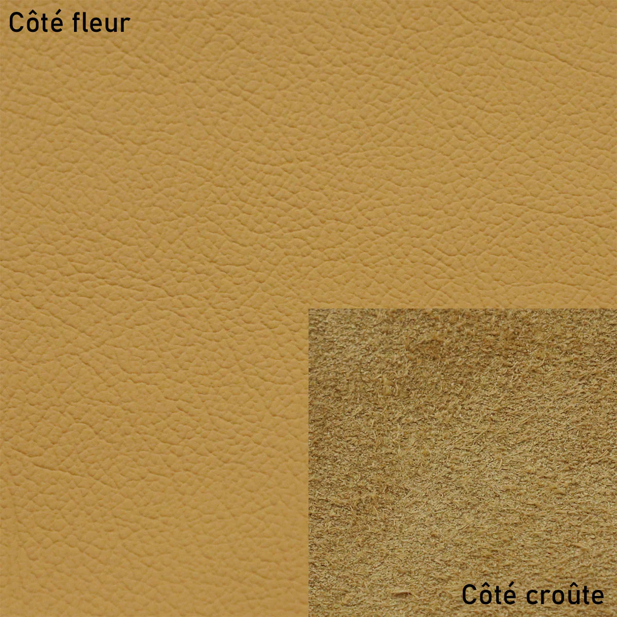Peau de cuir automobile grain naturel - OCRE - Image 2
