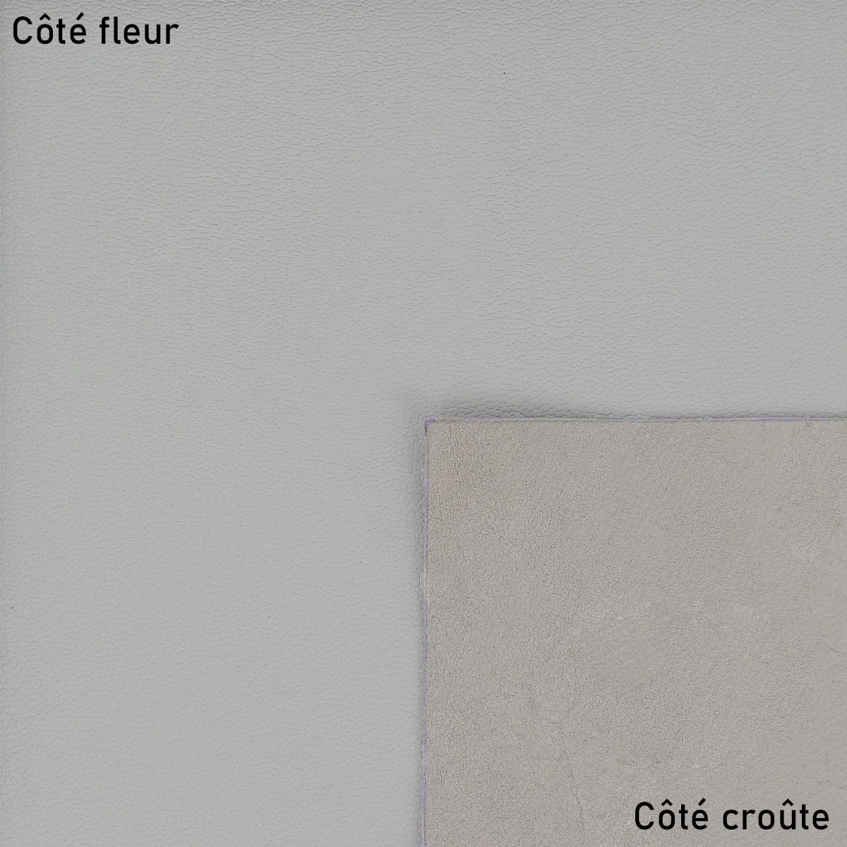 Peau de cuir de chèvre grainé - GRIS CLAIR S19 - Image 2