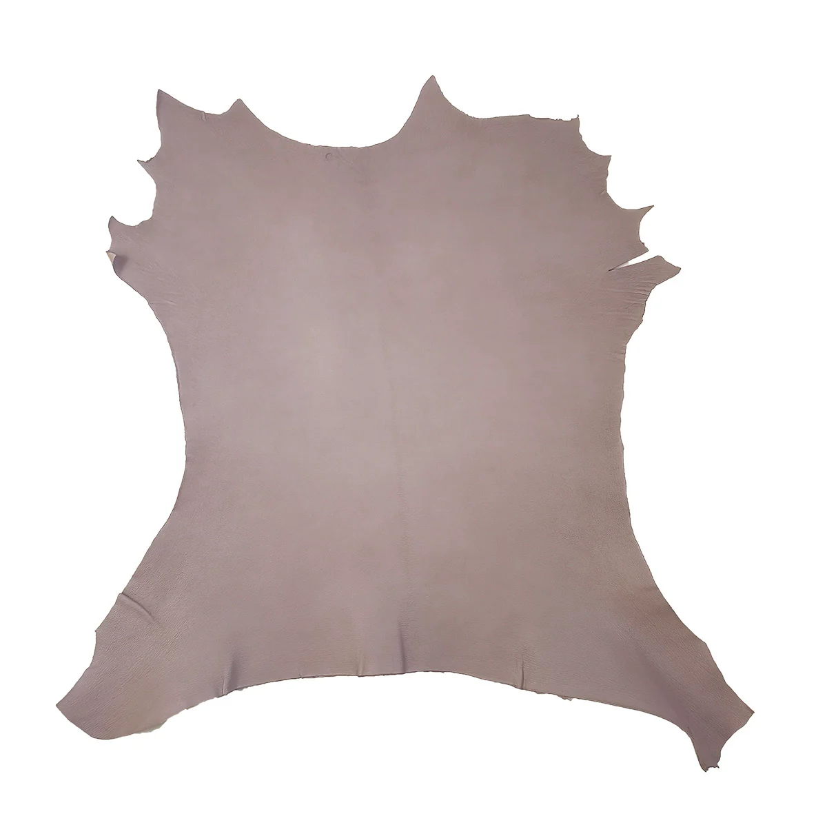 Peau de cuir de chèvre grainé - TAUPE CLAIR Q15