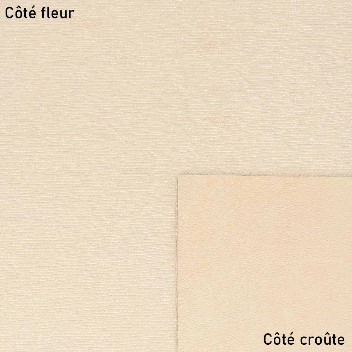 Peau de cuir de chèvre velours fantaisie - BEIGE  grain doré S67 - Image 2