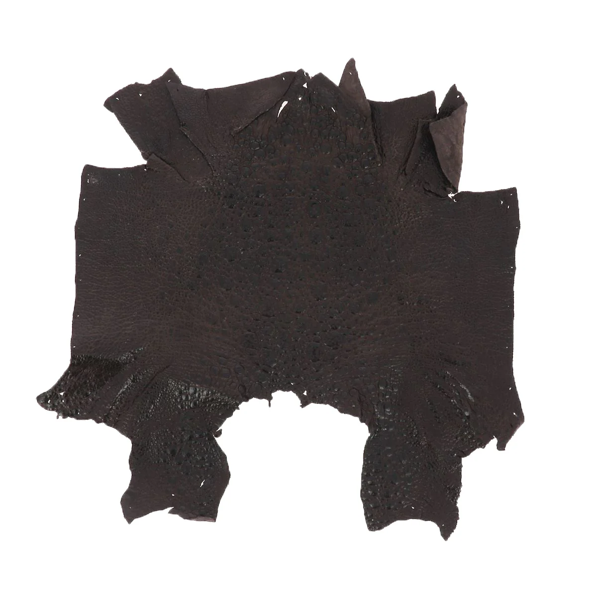 Peau de cuir de crapaud - CHOCOLAT P86