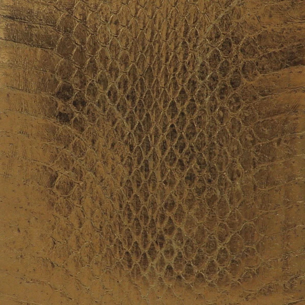 Peau de cuir de serpent Élaphe dorsale - BRONZE - Image 2