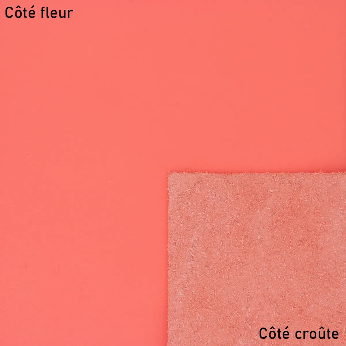 Peau de cuir de vachette - FRUIT DU DRAGON S76 - Image 2