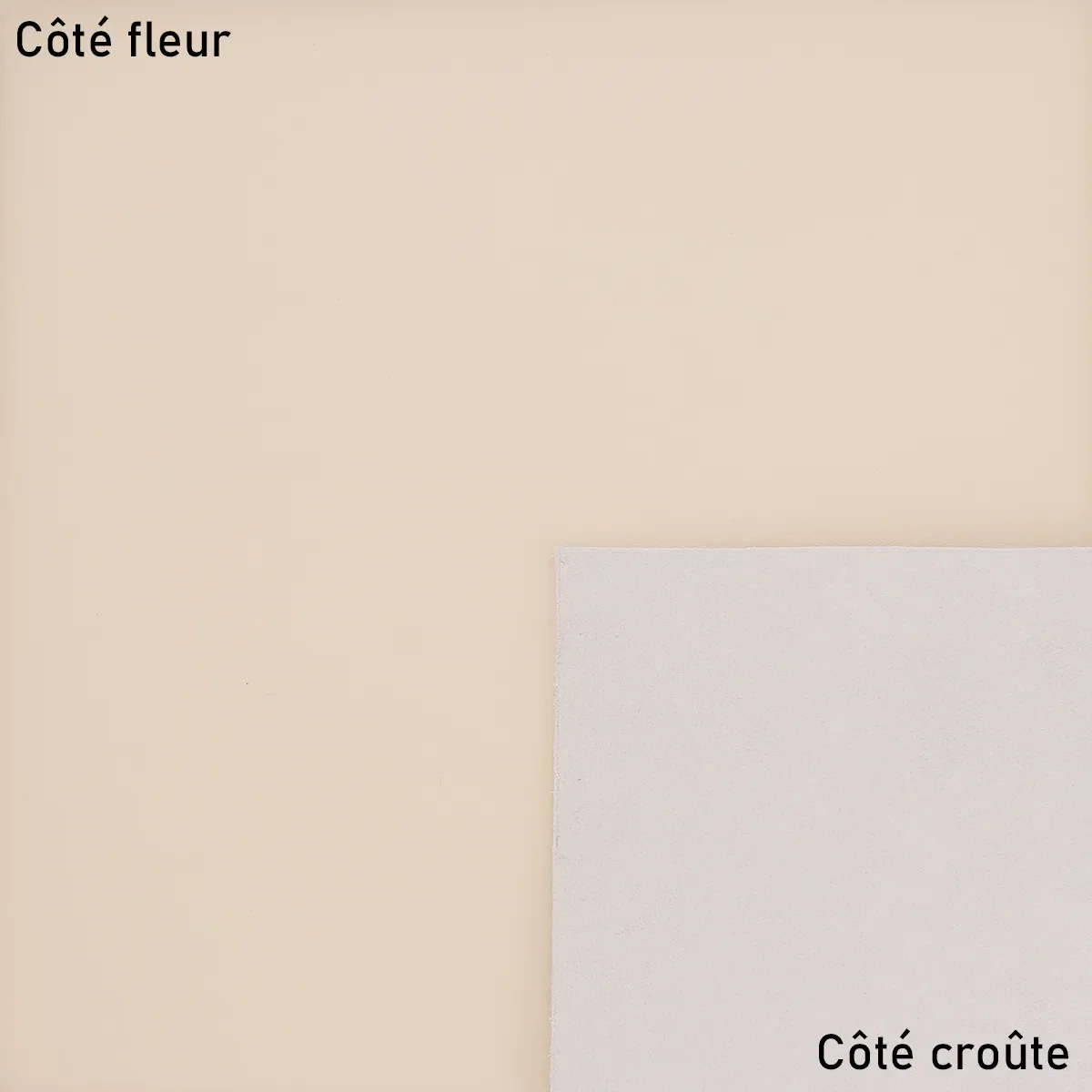 Peau de cuir de vachette SATINATO - BEIGE S17 - Image 2