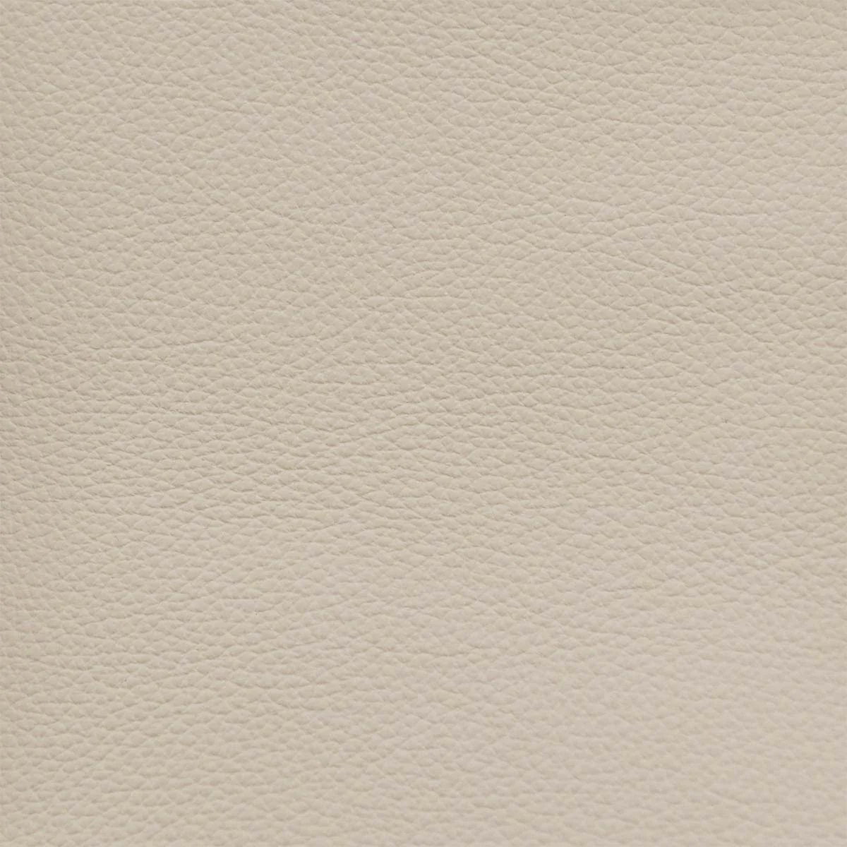Peau de cuir de veau grainé - BEIGE P64 - Image 4