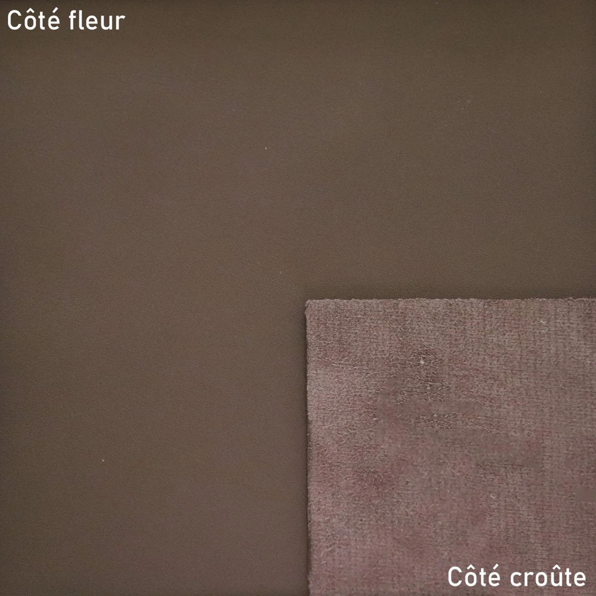 Peau de cuir de veau lisse - TAUPE FONCÉ I25 - Image 2