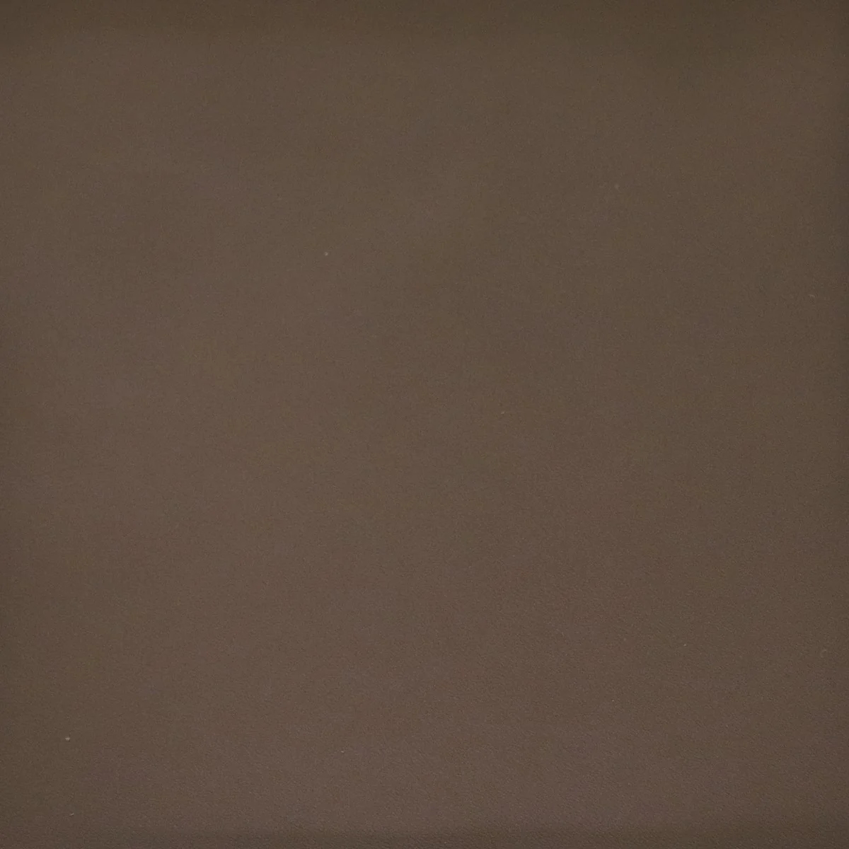 Peau de cuir de veau lisse - TAUPE FONCÉ I25 - Image 4