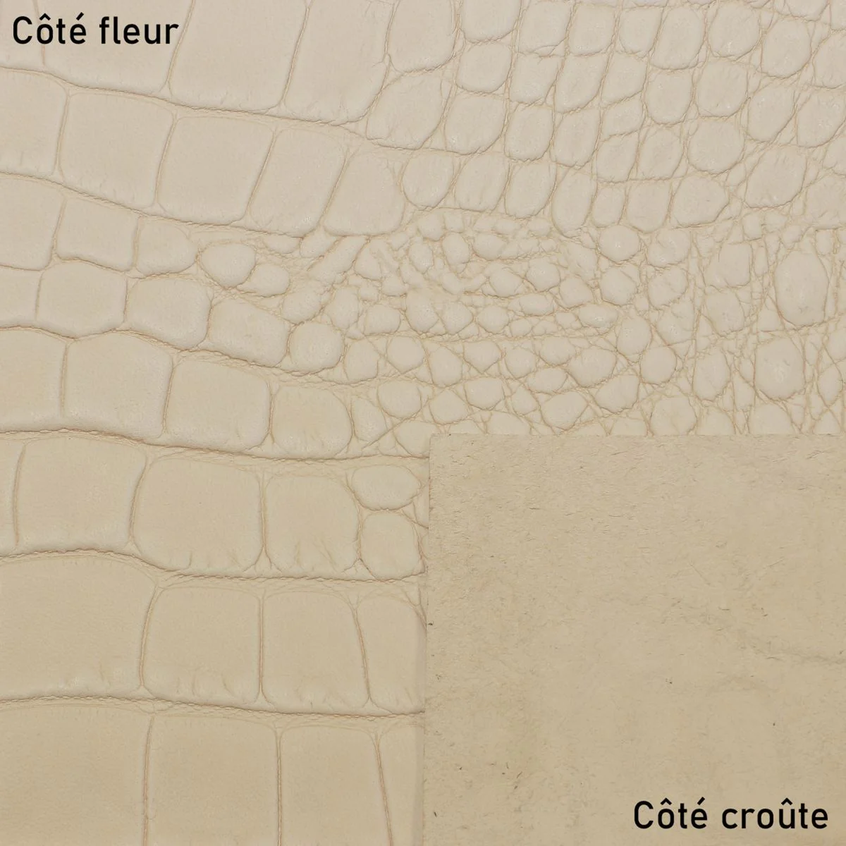 Peau entière de cuir de basane FRANCE imitation Crocodile - NATUREL BAF20 - Image 3