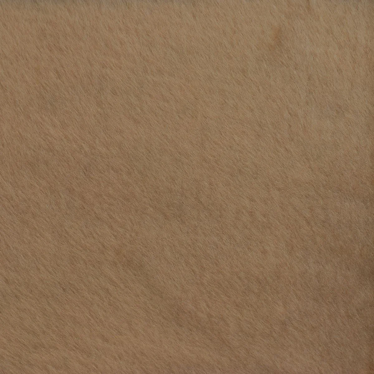 Peau de mouton lainé lisse - Dos pigmenté tressé ÉBÈNE - MARRON BEIGE M61 - Image 4