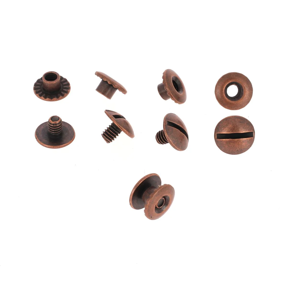Lot de 10 vis Chicago en acier avec trou - Diamètre 10mm - Entraxe 3mm - Ivan - Image 7
